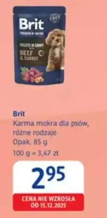 Karma mokra dla psów, różne rodzaje