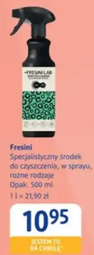 Specjalistyczny środek do czyszczenia w sprayu Fresini