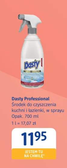 Środek do czyszczenia łazienki Dasty Professional