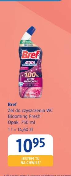 Żel do czyszczenia WC Blooming Fresh Bref