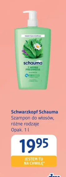 Szampon do włosów Schwarzkopf Schauma